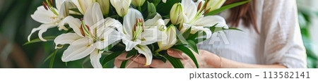 A woman holds a bountiful bouquet of pure white lilies A woman holds a bountiful bouquet of pure white lilies 113582141