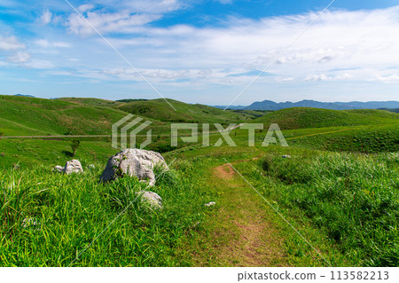 Scenery of Akiyoshidai in early summer 113582213