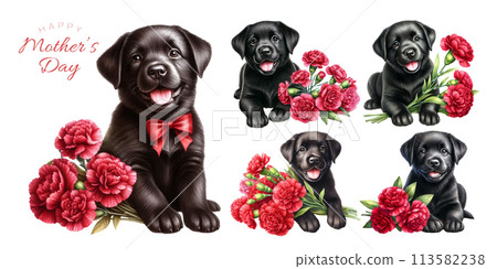 A set of watercolor illustrations of a black Labrador retriever puppy and a red carnation A set of watercolor illustrations of a black Labrador retriever puppy and a red carnation 113582238