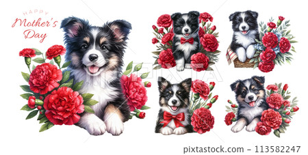 Border collie puppy and red carnation watercolor illustration material set 113582247