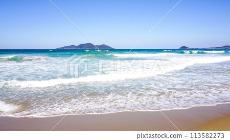 Coastal scenery with beautiful waves 113582273
