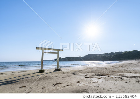 八坂神社 一野鳥居（白色鳥居） 千葉郡勝浦市鵜鶘市鵜鶘海灘 113582404