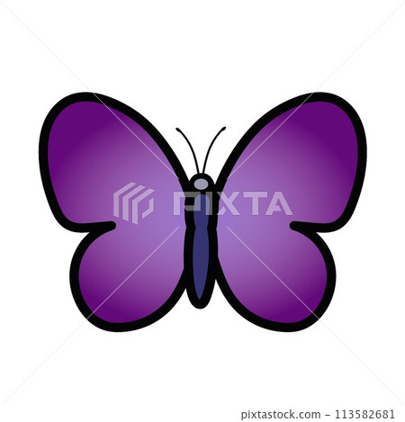 Butterfly illustration 113582681