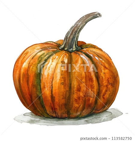 A watercolor painting of a vibrant orange pumpkin with a textured stem A watercolor painting of a vibrant orange pumpkin with a textured stem 113582750