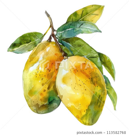 Watercolor illustration of a ripe mango with green leaves Watercolor illustration of a ripe mango with green leaves 113582768