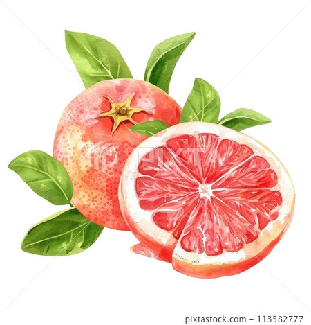 A juicy grapefruit half in watercolor, with a perfect balance of pink and red hues A juicy grapefruit half in watercolor, with a perfect balance of pink and red hues 113582777