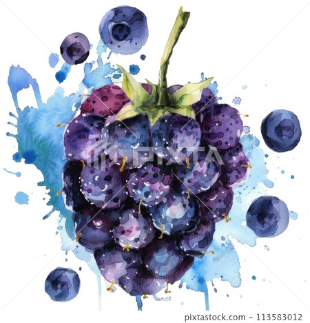 A single blackberry brims with vibrancy in this watercolor 113583012