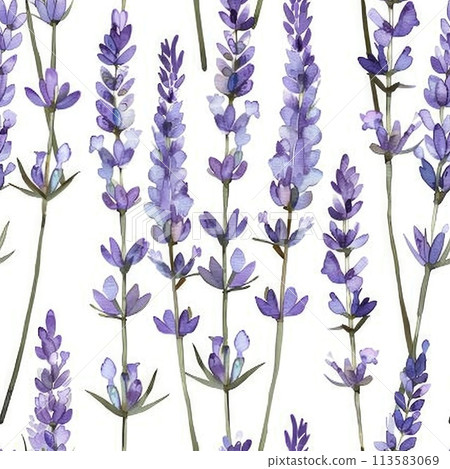 Seamless Lavender Watercolor Pattern for Design and Backgrounds Seamless Lavender Watercolor Pattern for Design and Backgrounds 113583069