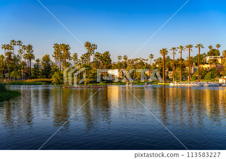 Echo Park Lake with pedal boats and palm trees in Los Angeles, California Echo Park Lake with pedal boats and palm trees in Los Angeles, California 113583227