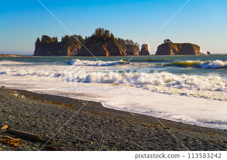 Rialto Beach with sea stacks in Olympic National Park, Washington State Rialto Beach with sea stacks in Olympic National Park, Washington State 113583242