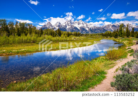 Schwabacher Landing with Snake River in Grand Teton National Park, Wyoming, USA 113583252