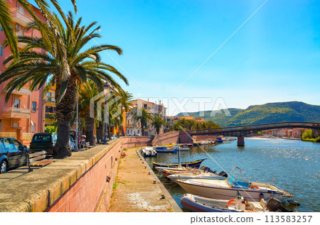 Picturesque view of Bosa town along Temo River in Sardinia, Italy 113583257