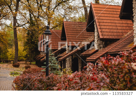 view of houses on the street at autumn season 113583327