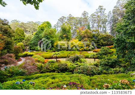 Dandenong Ranges Botanic Garden in Olinda Australia Dandenong Ranges Botanic Garden in Olinda Australia 113583673