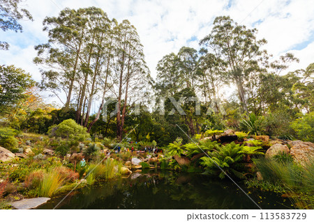 Dandenong Ranges Botanic Garden in Olinda Australia 113583729