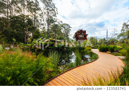 Dandenong Ranges Botanic Garden in Olinda Australia 113583741