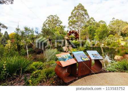Dandenong Ranges Botanic Garden in Olinda Australia Dandenong Ranges Botanic Garden in Olinda Australia 113583752