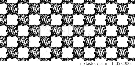 Black and white kaleidoscopic background texture 113583922