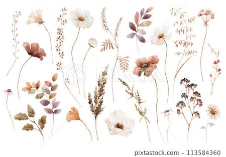 Beautiful floral set with watercolor hand drawn gentle autumn fall flowers. Stock floral illustration. Nature clip art. Beautiful floral set with watercolor hand drawn gentle autumn fall flowers. Stock floral illustration. Nature clip art. 113584360