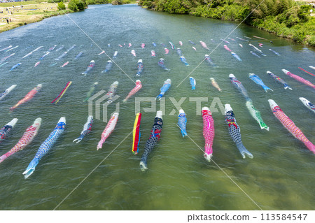 游泳在河的鯉魚飄帶 游泳在河的鯉魚飄帶 113584547