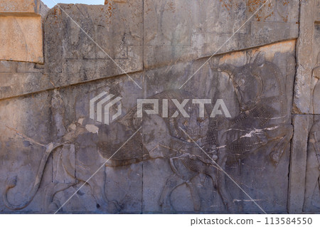 Ancient Carvings of Persepolis. Ancient Carvings of Persepolis. 113584550