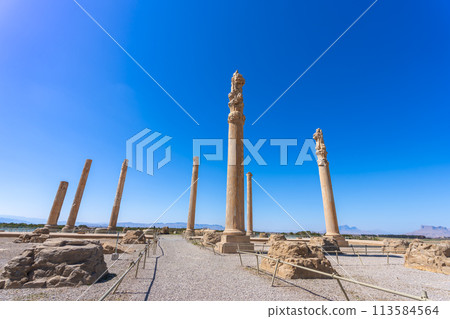 Ancient Glory 113584564