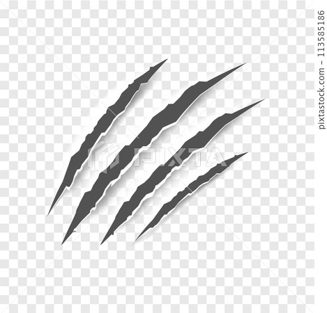 Black claw scratches - vector isolated. Claws scratches animal claw tracks cat or tiger bear or lion nails scratches. Horror, Halloween monster. Vector 113585186