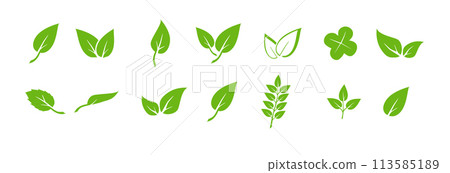 Green leaf icons set. Elements design for natural, eco, vegan. Leaves icon on isolated background. Collection green leaf. Vector Green leaf icons set. Elements design for natural, eco, vegan. Leaves icon on isolated background. Collection green leaf. Vector 113585189