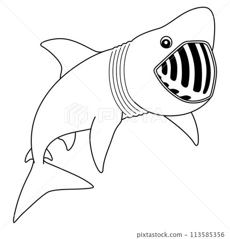 Basking Shark Isolated Coloring Page for Kids 113585356