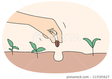 Person hand plant seed in soil Person hand plant seed in soil 113585627
