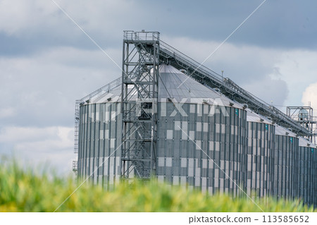 Granary elevator, silver silos on agro manufacturing plant for processing drying cleaning and storage of agricultural products, flour, cereals and grain. A field of green wheat. Granary elevator, silver silos on agro manufacturing plant for processing drying cleaning and storage of agricultural products, flour, cereals and grain. A field of green wheat. 113585652