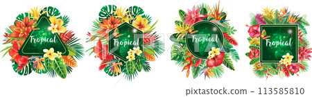 Set of Frames and from Tropical Flowers Set of Frames and from Tropical Flowers 113585810