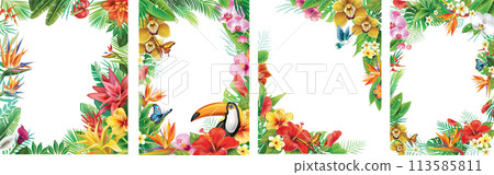 Set of Frames and from Tropical Flowers 113585811