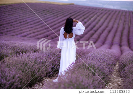 Woman lavender field. Lavender field happy woman in white dress in lavender field summer time at sunset Woman lavender field. Lavender field happy woman in white dress in lavender field summer time at sunset 113585853