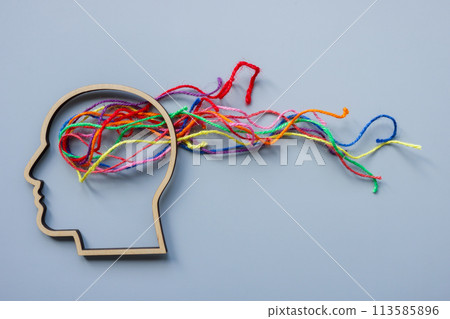 Neurodiversity, autism or creativity abstract. Head outline and colored threads. 113585896