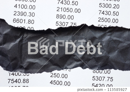 Torn bank statement and inscription bad debt. Torn bank statement and inscription bad debt. 113585927