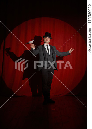 Magician with pigeon standing over red drapery in spotlight 113586020