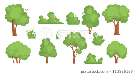 Collection of deciduous and evergreen forest plants isolated on white background. Botanical collection of bare trees and ones with leaves and lush crowns. Flat vector illustration on white 113586186