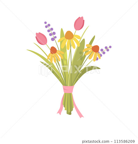 Spring flowers. Fragile field blooms. Mixed floral summer plants, stems composition. Gentle simple blossomed wildflowers. Abstract botanical flat vector illustration isolated on white Spring flowers. Fragile field blooms. Mixed floral summer plants, stems composition. Gentle simple blossomed wildflowers. Abstract botanical flat vector illustration isolated on white 113586209