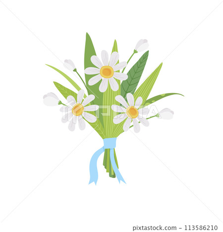 Floristic composition of beautiful garden and meadow flowers with blue ribbon. Elegant bouquet of wildflowers. Bunch of white flowers, anemones, craspedia. Flat vector cartoon illustration isolated Floristic composition of beautiful garden and meadow flowers with blue ribbon. Elegant bouquet of wildflowers. Bunch of white flowers, anemones, craspedia. Flat vector cartoon illustration isolated 113586210