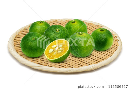 Shekwasha illustration realistic 113586527