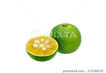 Shikwasa 插圖現實 113586535