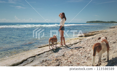 A woman is standing on a sandy beach next to two dogs. Woman is looking out at the ocean while dogs play in the sand. The scene captures a peaceful moment of companionship between human and animals. 113586589