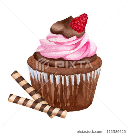 Chocolate brown cupcake with pink cream, raspberry and roll sticks hand drawn in watercolor for flyers, menus, labels isolated on white background 113586623