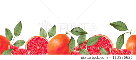 Seamless horizontal grapefruit frame. Whole and pieces of fruit with leaves. Illustration with watercolor and marker. Citrus healthy food for vegans. Border line. Vitamin C. Hand drawing isolated. 113586625