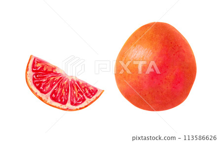 Whole grapefruit with a slice. Illustration with watercolors and markers. Hand drawn isolated art. Healthy food. Clipart of an ecological citrus product. Orange fruits for packaging, juices, menus. 113586626