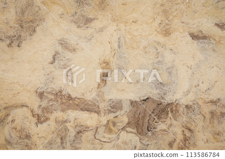 background of buckskin amate bark paper handmade created in Mexico background of buckskin amate bark paper handmade created in Mexico 113586784