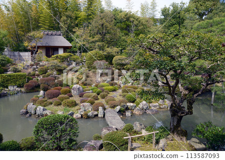 Toji-in Temple Garden and Seiren-tei, Kita-ku, Kyoto 113587093
