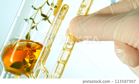 Getting essential oil from natural substances and flowers. Yellow oil flows in a spiral. Getting essential oil from natural substances and flowers. Yellow oil flows in a spiral. 113587307