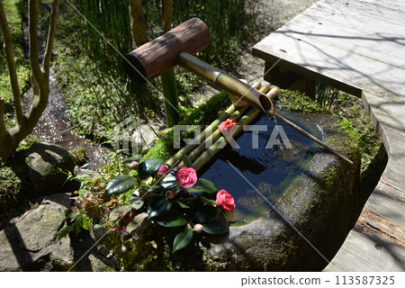 京都市左京區寶仙院鶴龜花園長足缽大原 京都市左京區寶仙院鶴龜花園長足缽大原 113587325
